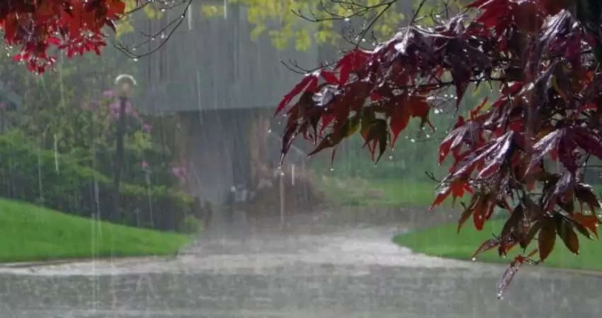 rain in kerala