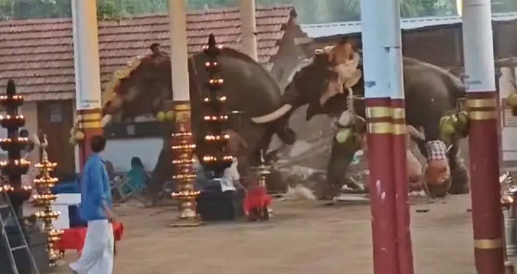 കൊയിലാണ്ടി മണക്കുളങ്ങര ക്ഷേത്രത്തിൽ ആനയിടഞ്ഞു; തിക്കിലും തിരക്കിലും രണ്ട് മരണം; അഞ്ച് പേരുടെ നില ​ഗുരുതരം
