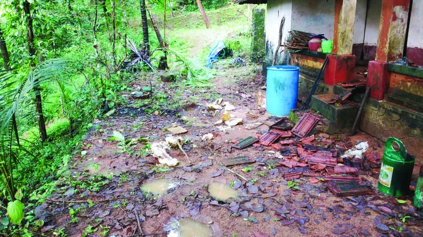 തൃശൂർ അകമലയിൽ വീണ്ടും കാട്ടാന ഇറങ്ങി; ഫെൻസിങ്ങ് തകർത്ത് കാട്ടുകൊമ്പൻ എത്തിയത് ഉത്രാളിക്കാവിന് സമീപം