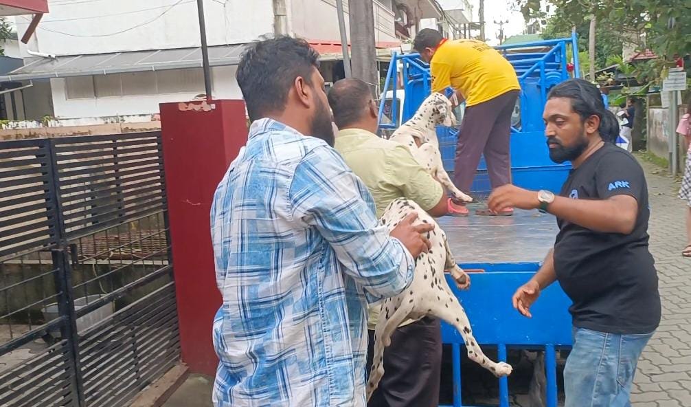 26 നായകളേയും നാലാം ക്ലാസിൽ പഠിക്കുന്ന മകനേയും ഉപേക്ഷിച്ച് അച്ഛൻ നാട് വിട്ടു; രക്ഷകരായി എത്തി പൊലീസ്