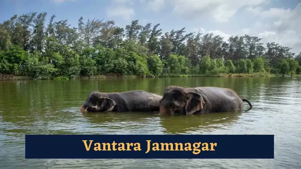 സുപ്രീംകോടതിക്ക് പിന്നാലെ ‘അന്തർദേശീയ വന്യജീവി വ്യാപാര ഉടമ്പടി യും വൻതാരയ്ക്കു ക്ലീൻ ചിറ്റ് നൽകി